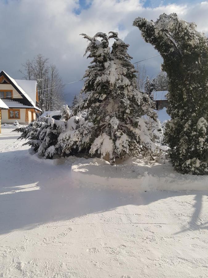 Tatrzanskie Domki Poronin Esterno foto
